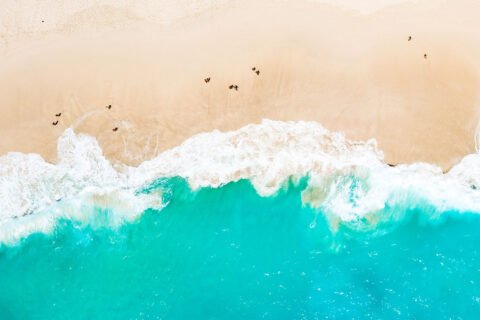 The trip you should take this fall